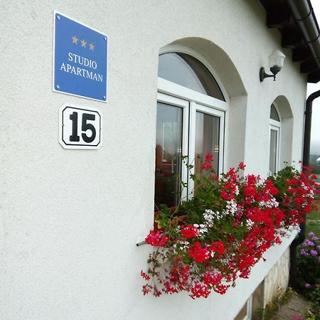 Apartments Zegarac House Korenica Zewnętrze zdjęcie