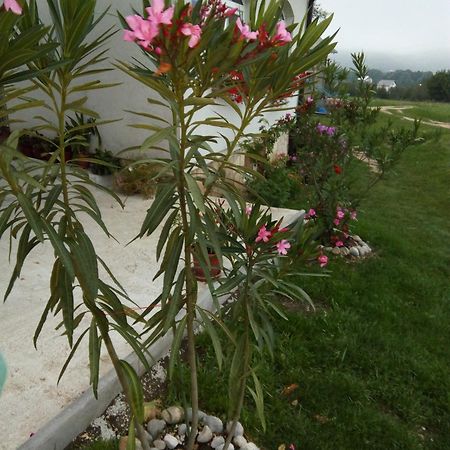 Apartments Zegarac House Korenica Zewnętrze zdjęcie