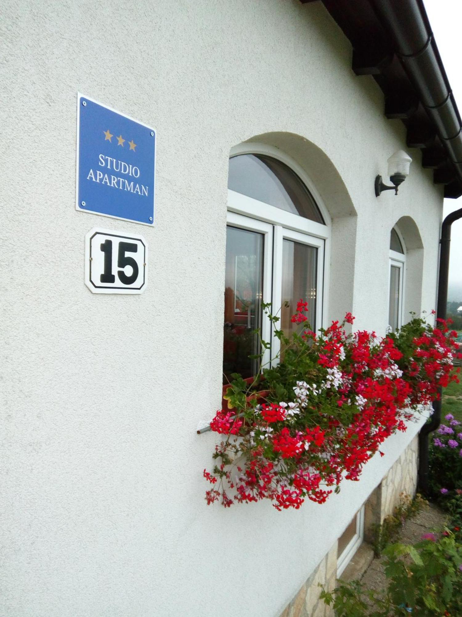 Apartments Zegarac House Korenica Zewnętrze zdjęcie